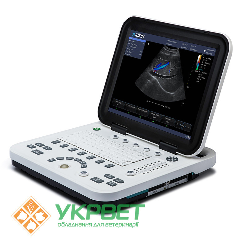Ультразвуковой ветеринарный сканер с цветным доплером KU1-VET - фото 1 - id-p1895641214