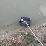 Насос для перекачування води REWOLT заглибний 12 В (RE SLW-12V), фото 6