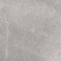 Плитка Cerrad GRES MASTERSTONE SILVER POLER 59.7x59.7