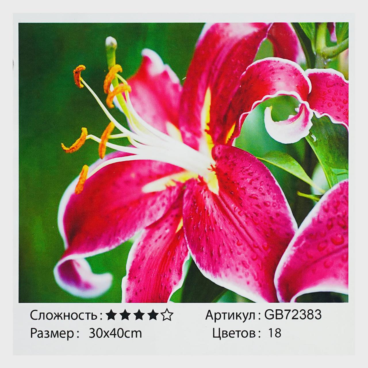 Алмазна мозаїка GB 72383 "TK Group", 30х40см, в коробці, фото 1