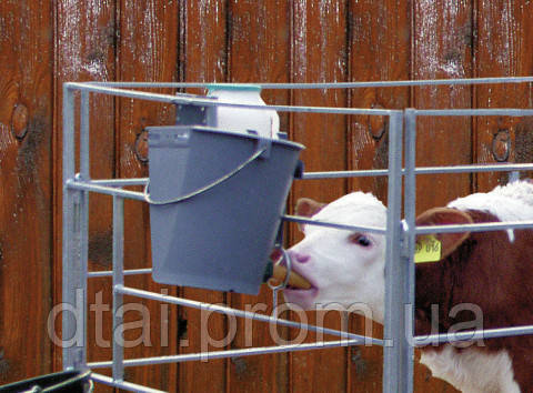 Відро з гумовою соскою для годівлі телят, Kerbl Німеччина - фото 2 - id-p1895639104