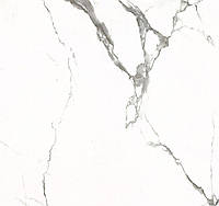 Плитка ALMERA CERAMICA China CARRARA GXJ00160S 600x600