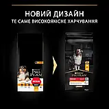 PRO PLAN Adult Medium про план (проплан) корм для середніх порід собак з куркою, 14 кг, фото 2