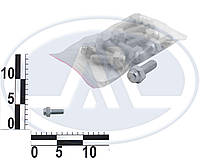 Болт М10х25 (ш. 1,25) суппорта ВАЗ 2101-07 низ., фигурный