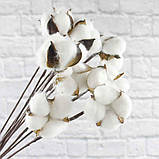 1 Бавовна сухоцвіт (дротова гілка з однією квіткою) (діаметр бутона 4,5-5,5 см, паковання 10 шт.), фото 2