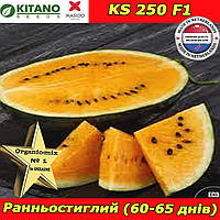 Кавун помаранчевий КS 250  F1, 1000 насінин, KITANO SEEDS (Нідерланди)