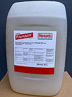 Гербіцид Раундап (20л)