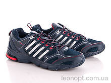 Кросівки чоловічі "Veer-Demax" V6653-1 navy-red