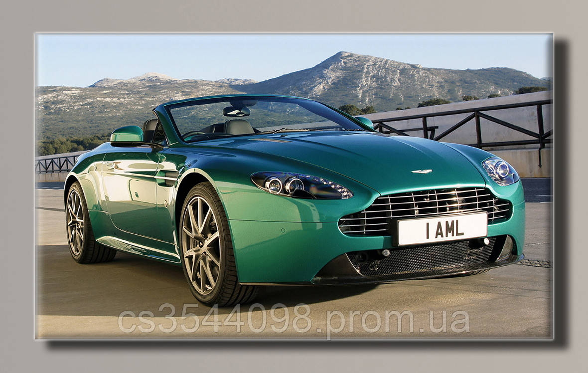 Картина на полотні Aston Martin 2010
