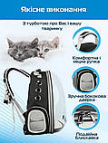Прозорий рюкзак для перенесення тварин Pet Cat для котів та собак Black УЦІНКА, фото 6