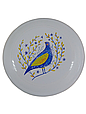 Фрисбі диск для фристайлу від українського виробника пластик 175 г 273 мм білий, фото 6