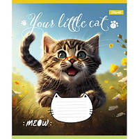 Зошит шкільний A5 18 листів лінія. 1Вересня Your little cat