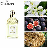 Guerlain Aqua Allegoria Nerolia Vetiver Туалетная вода Унисекс, 125 мл Тестер, фото 4