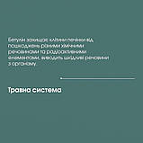 Бетуліну Екстракт (Бетулінова Кислота) Добавка Дієтична Нове Життя (New Life) 30 мл, фото 5