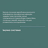 Бетуліну Екстракт (Бетулінова Кислота) Добавка Дієтична Нове Життя (New Life) 30 мл, фото 6