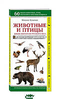 Книга Животные и птицы. Дикие обитатели русского леса. Наглядный карманный определитель. Автор Куценко М.