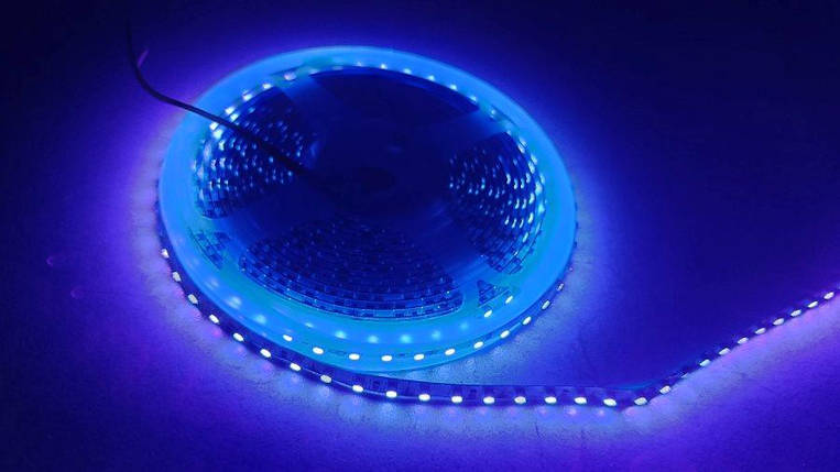 Ультрафіолетова UV стрічка 2835/60 12V 395 nm IP20 Код.52414, фото 1