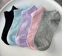 Набір шкарпеток з сіточкою 5 пар