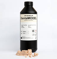 DentaMODEL 1000 г