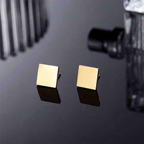 Сережки з нержавіючої медичної сталі з позолотою "Бенефіс"