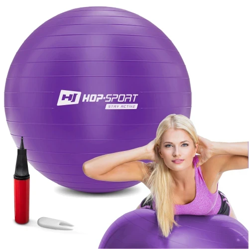 Фітбол 65 см Hop-Sport R065 фіолетовий
