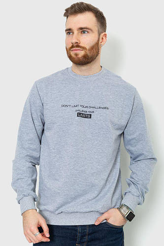 Свитшот мужской с принтом, цвет светло-серый, 214R015 (ID#1896451231 ...