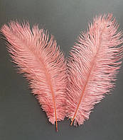 Перо страуса длиной 35 см, цвет розовая пудра, цена за 1 шт!