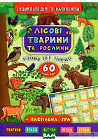 Познавательные книги про животных растения для детей `Лісові тварини та рослини`