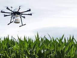 Внесення трихограми за допомогою дронів