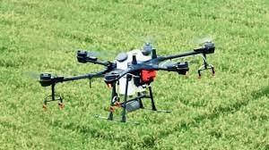 Внесення золотоглазки Chrysopidae за допомогою дрону