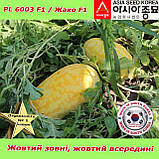 Кавун PL 6003 F1 /  Жако F1 ранній, жовтий кавун, 500 насінин ТМ Asia Seed (Південна Корея), фото 6