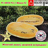 Кавун PL 6003 F1 /  Жако F1 ранній, жовтий кавун, 500 насінин ТМ Asia Seed (Південна Корея), фото 8