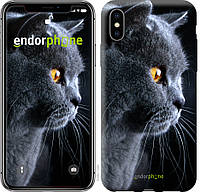 Пластиковый чехол Endorphone на iPhone X Красивый кот (3038t-1050-26985)