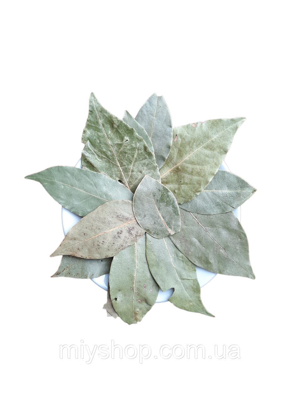 Лавровий лист (цілий) 50гр, фото 1