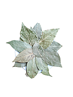 Лавровий лист (цілий) 50гр