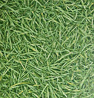 Лінолеум IVC Bubblegum Grass 025 ширина 4.0 м