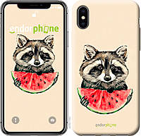 Пластиковый чехол Endorphone на iPhone X Енотик с арбузом (4605t-1050-26985)