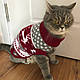 Кофта для кішки Толстовка для кішки Светр для кішки 16 Червоний, фото 6