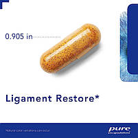 Відновлення зв'язок, Ligament Restore, Pure Encapsulations, 120 капсул BX999, фото 4