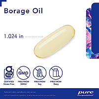 Олія огірка 1000 мг, Borage Oil, Pure Encapsulations, 60 капсул BX011, фото 4