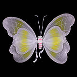 Крила Метелика, бабочка величезні Золоті., фото 3
