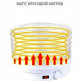 Сушильний апарат сушарка для фруктів, овочів та інших продуктів, сушіння, дегідратор Zepline ZP-029-D1, фото 5