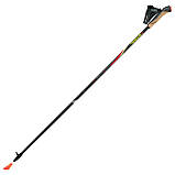Палиці для скандинавської ходьби Gabel FX-75 Snake Carbon 130 Dual Spike (7008351011300), фото 2