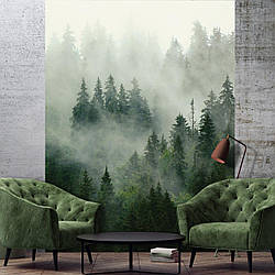 Флізелінові фотошпалери зелений ліс в інтер'єрі 3D Пейзажі 184 x 254 см. Природа - туман (13026V4A) Найкраща якість