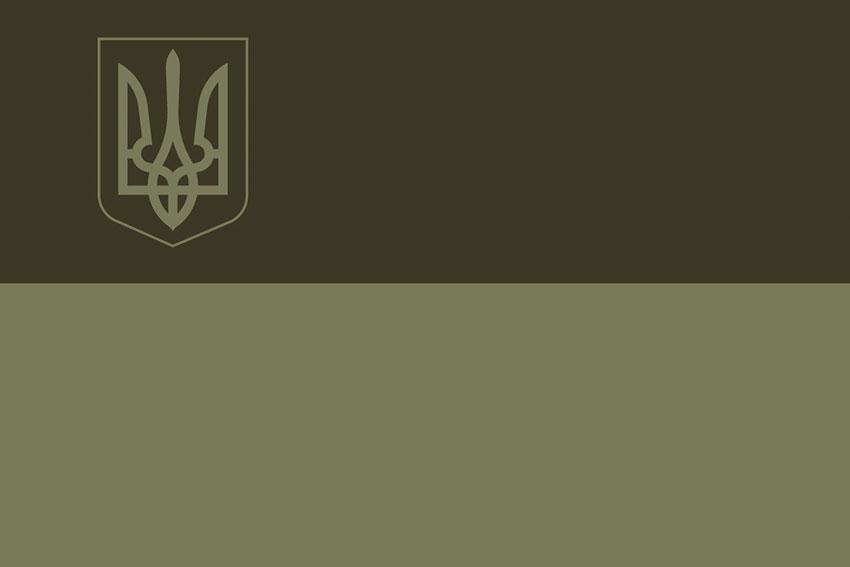 Прапор України мілітарі з малим гербом