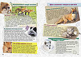 Моя казкова енциклопедія. Про тварин., фото 4