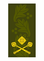 Шеврон Погон бригадный генерал олива Шевроны на заказ Шеврон на липучке Военные погоны ВСУ (AN-12-27-114)