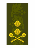 Шеврон Погон генерал-майор олива Шевроны на заказ Шеврон на липучке Военные погоны ВСУ (AN-12-27-115)
