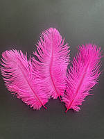 Перо страуса длиной 23-27 см, цвет розовый, цена за 1 шт!