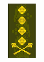 Шеврон Погон генерал олива Шевроны на заказ Шеврон на липучке Военные погоны ВСУ (AN-12-27-117)